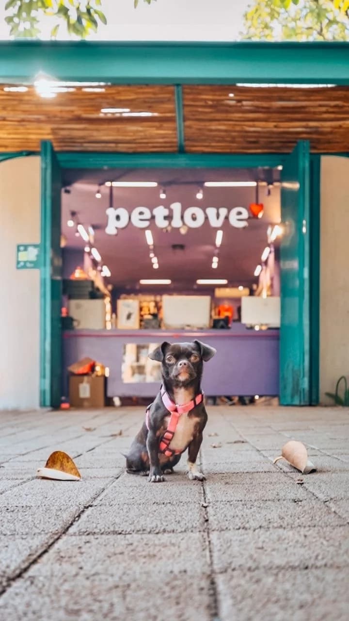 Promoção PetLove