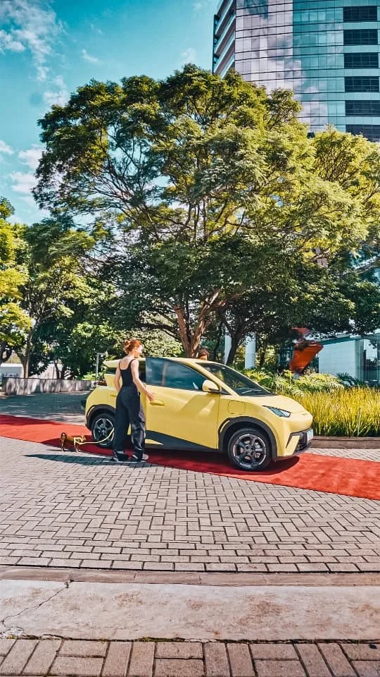 Dolphin Mini Byd