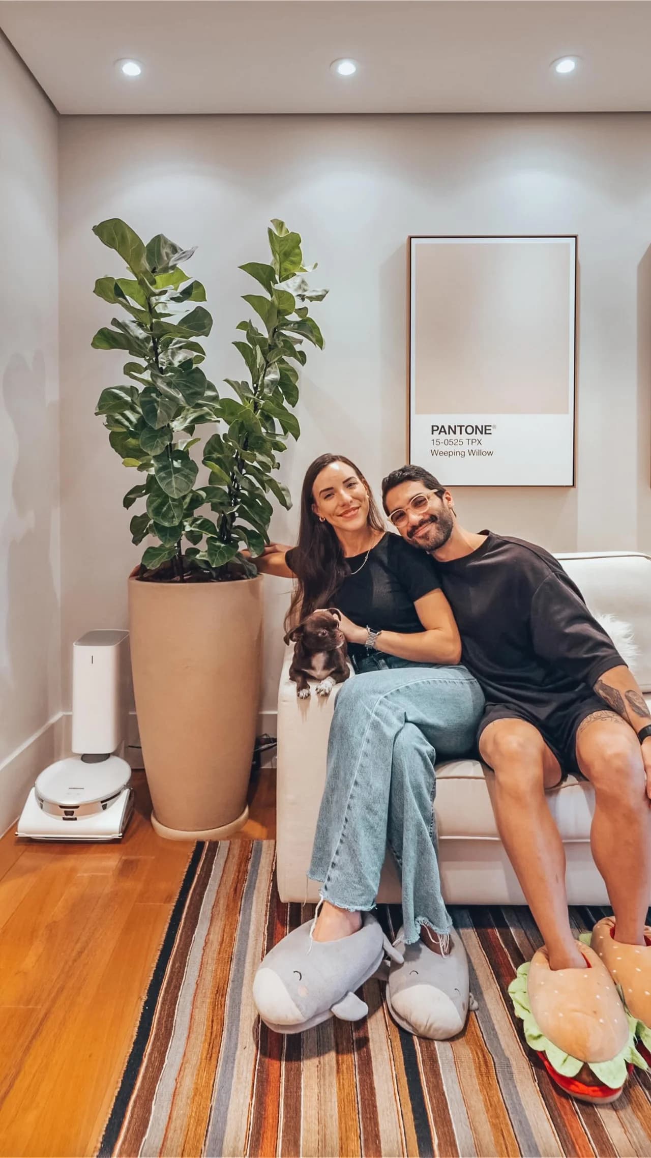 Samsung robô aspirador pet