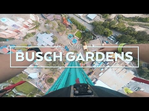 Busch Gardens Tampa