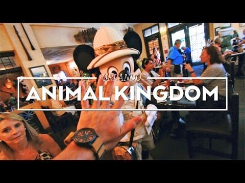 Animal Kingdom Orlando