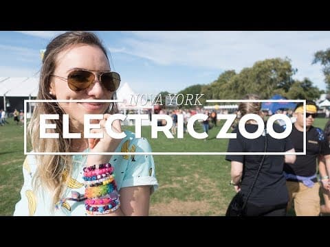 Electric Zoo 2017
